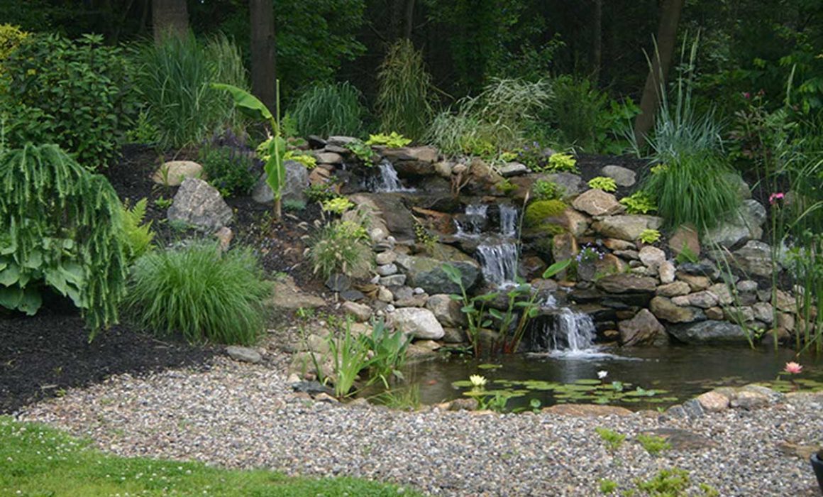 Backyard pond with rocks and plants surrounding
