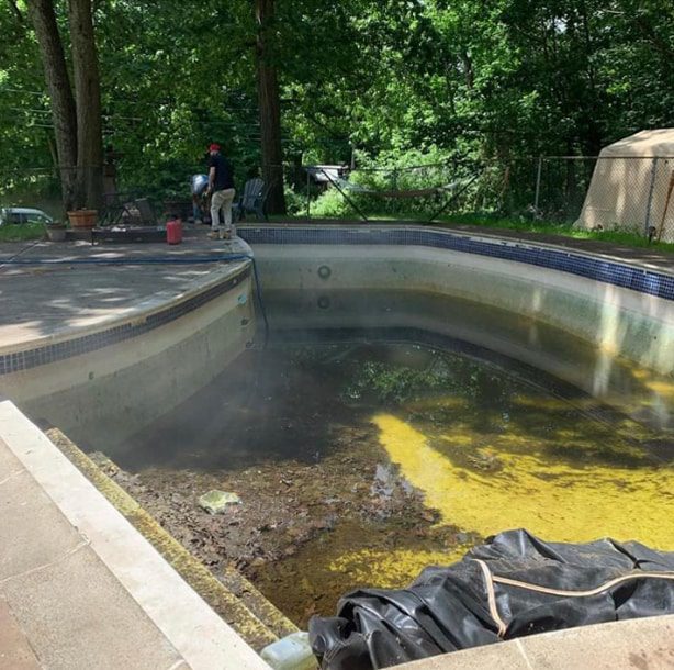 Backyard pool with dirt and algae on bottom before renovation